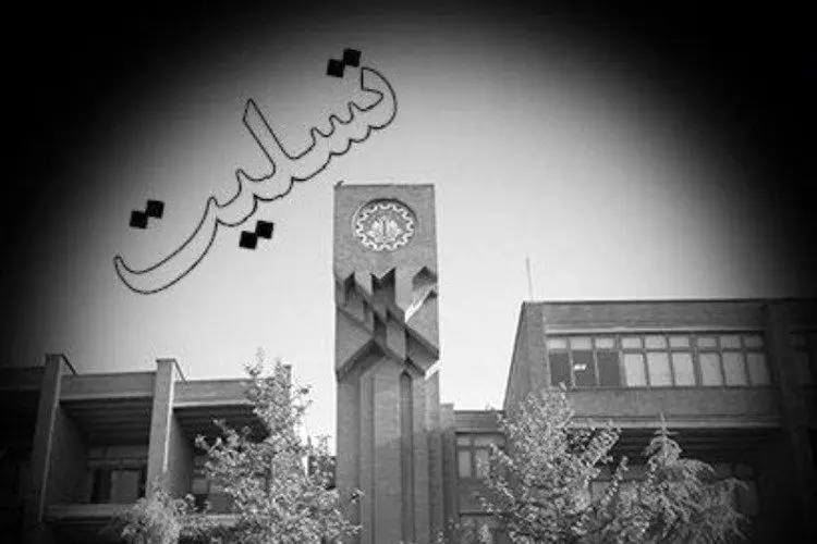 ماه عسل به مقصد مرگ؛ تازه عروس و داماد در میان جانباختگان سقوط هواپیما