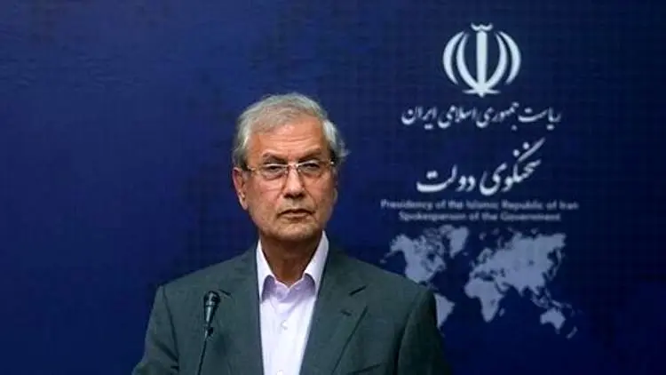 بیانیه سخنگوی دولت درباره سقوط هواپیمای اوکراینی
