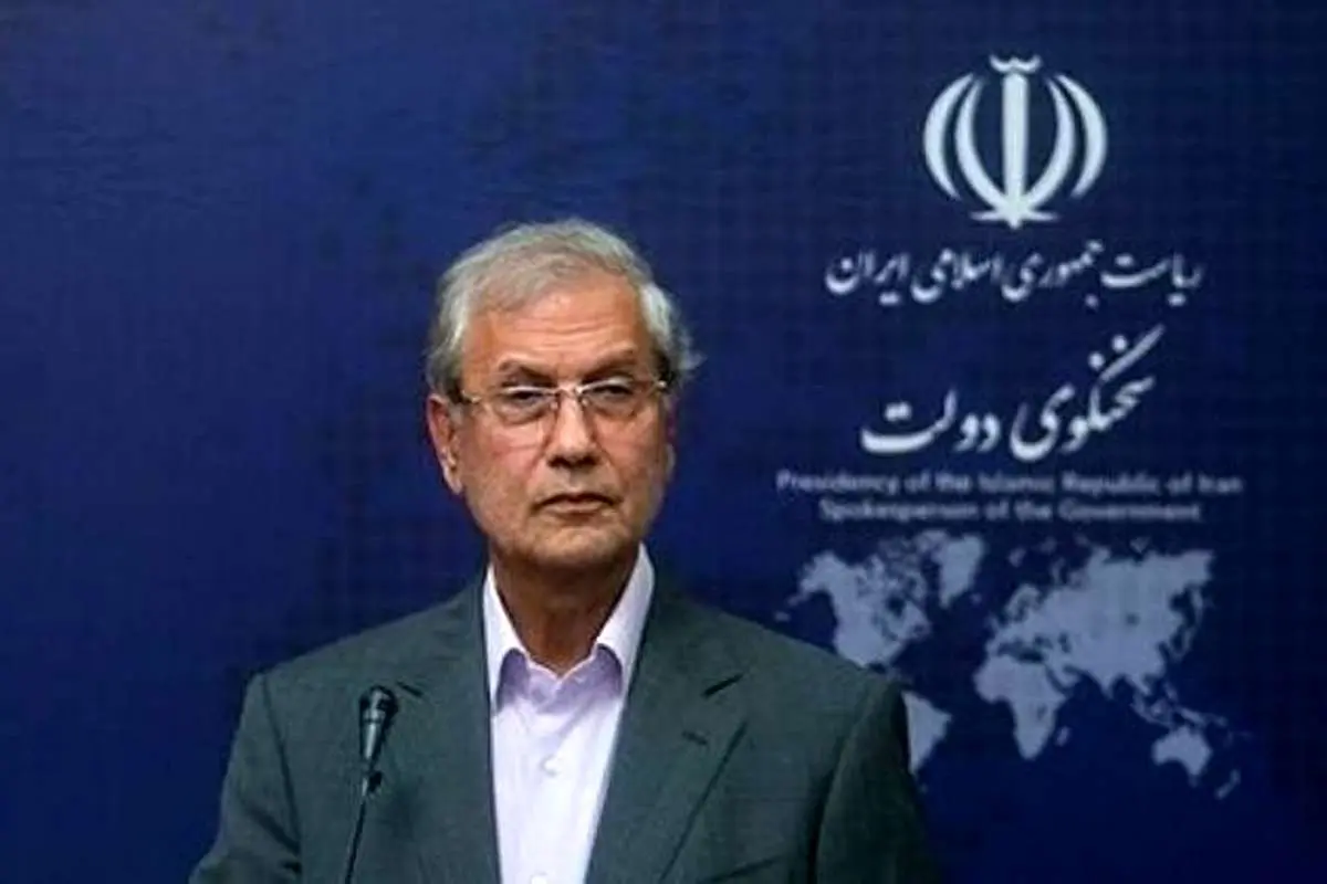 بیانیه سخنگوی دولت درباره سقوط هواپیمای اوکراینی
