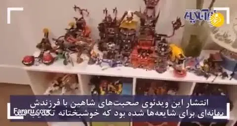 (ویدئو) تکذیب خودکشی پدری که فرزند و همسرش در بوئینگ ۷۳۷ جان باختند