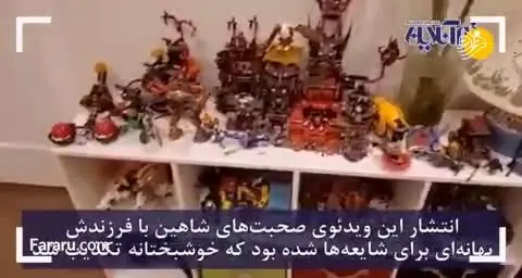 (ویدئو) تکذیب خودکشی پدری که فرزند و همسرش در بوئینگ ۷۳۷ جان باختند