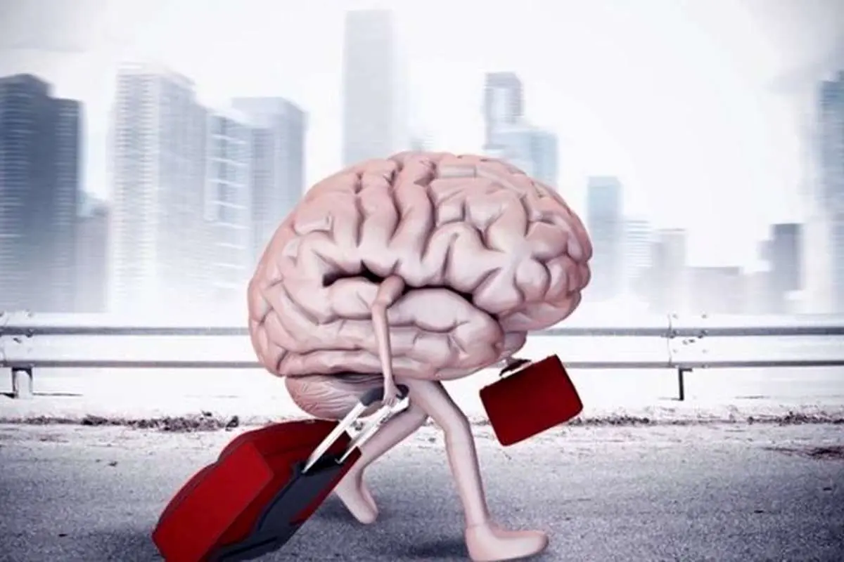 چرا نخبگان مهاجرت میکنند؟