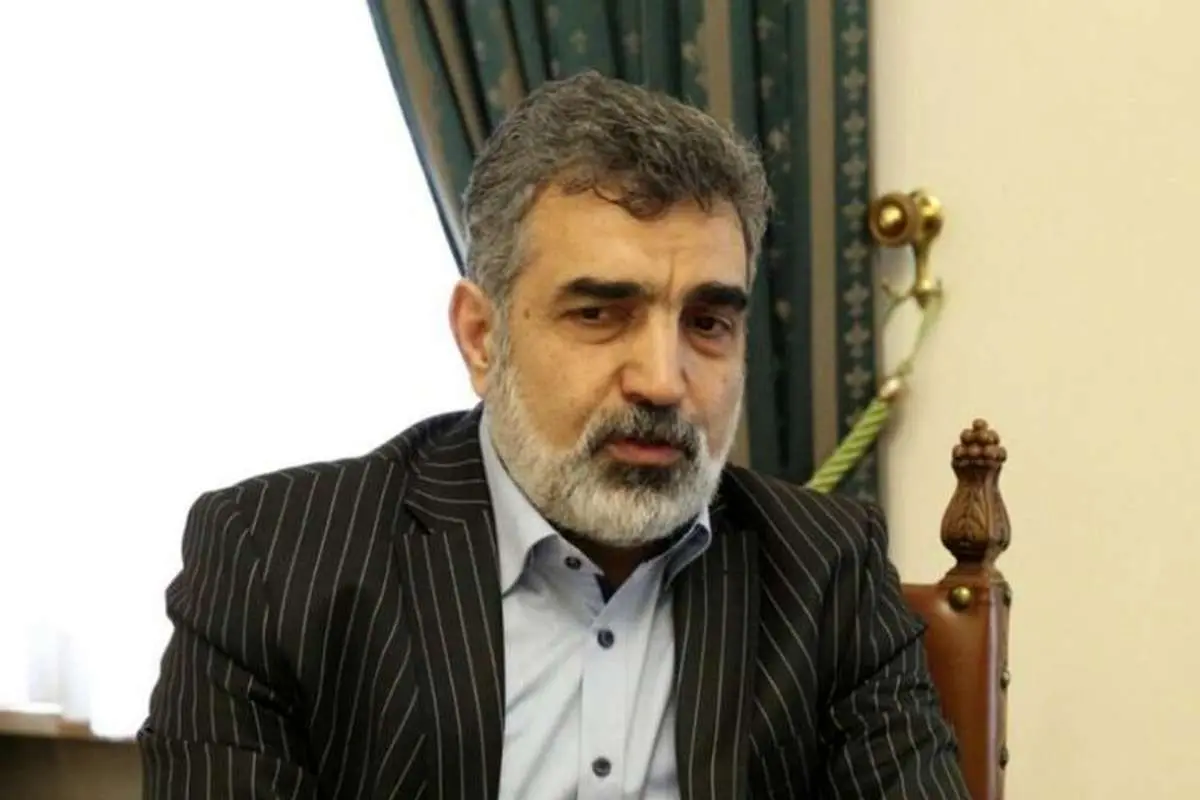 واکنش سازمان انرژی اتمی به تحریم صالحی