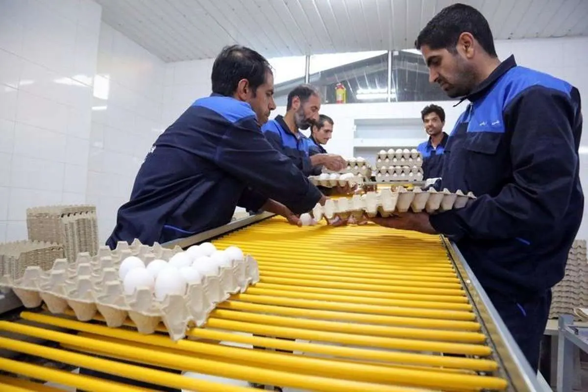 ۲۲۹ هزار شغل بنیاد برکت از طریق مشارکت اقصادی