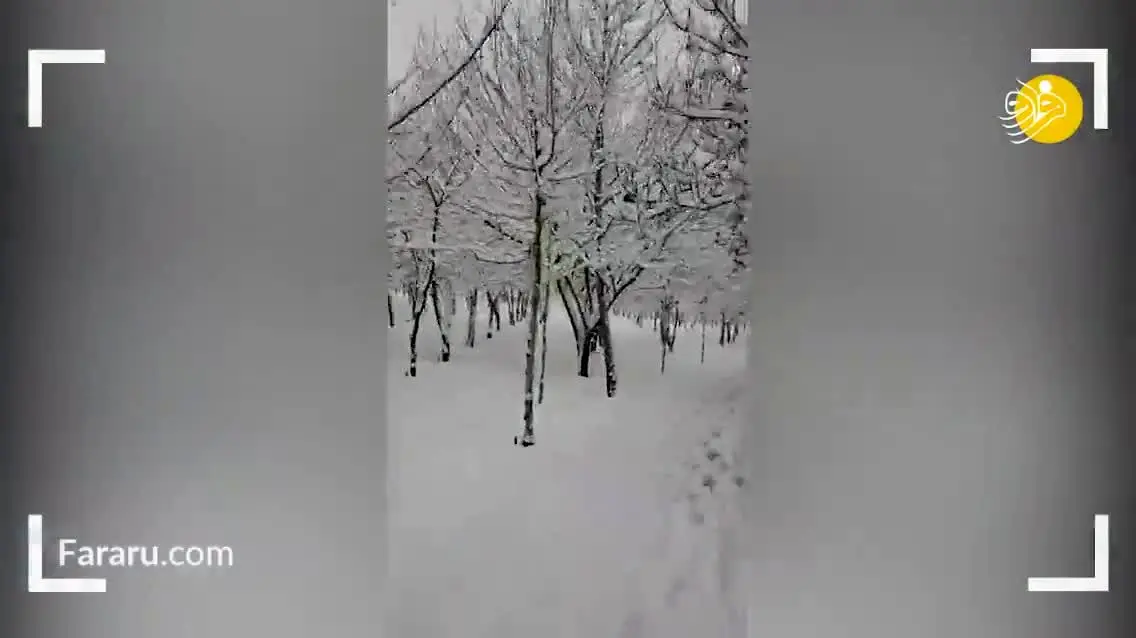تصاویری زیبا از فضای پوشیده از برف در شمال تهران