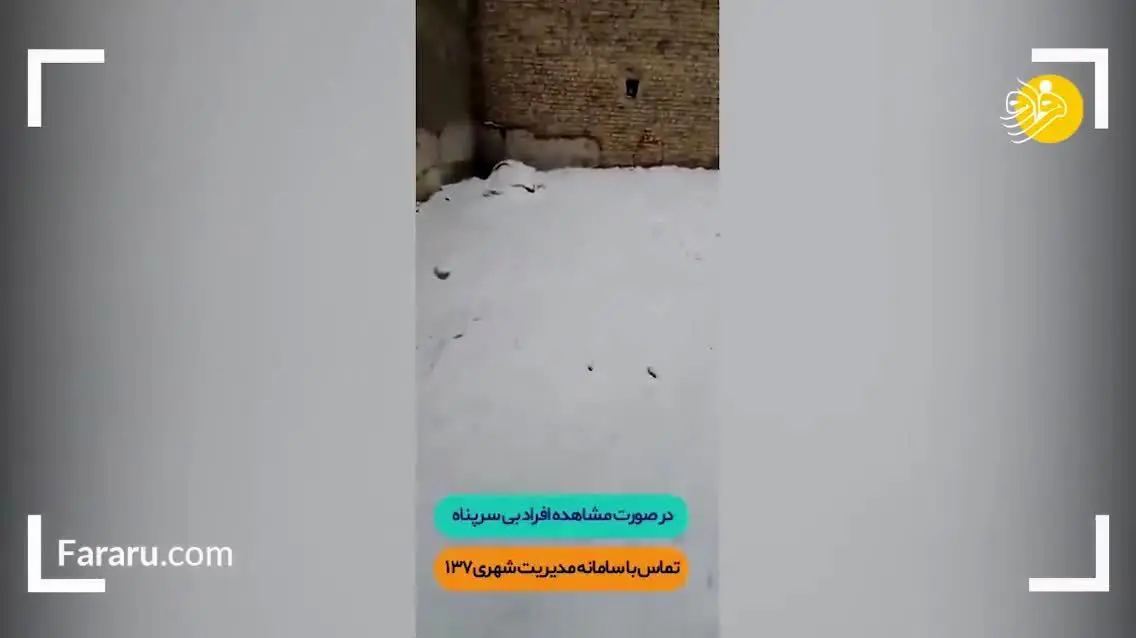 تصاویر غم انگیزی از یک کارتن خواب در زیر بارش برف