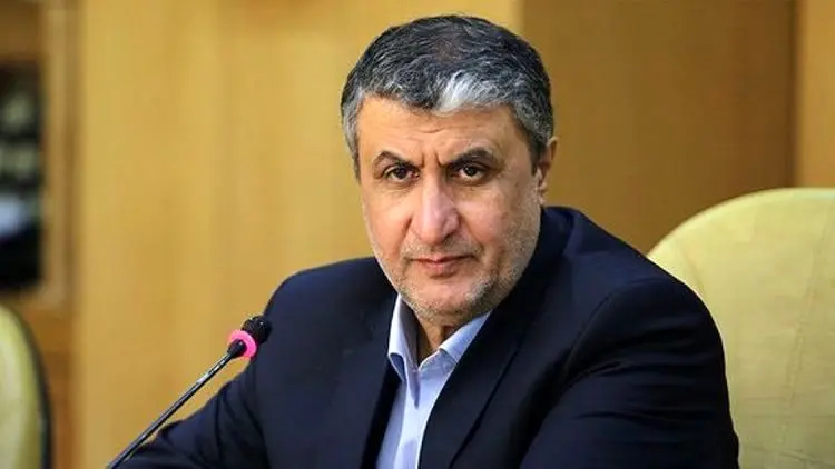 جعبه سیاه هواپیمای اوکراین در ایران خوانده می‌شود