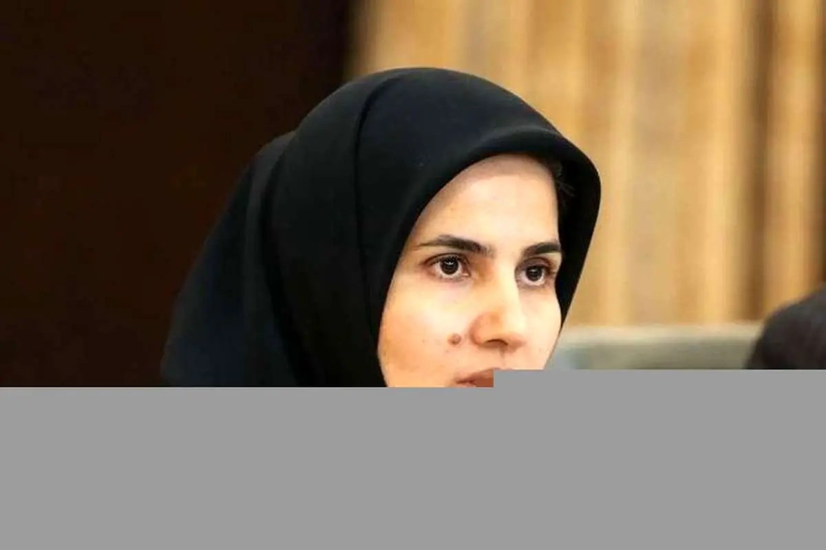 جنیدی: پیشنویس لایحه همهپرسی تهیه شد