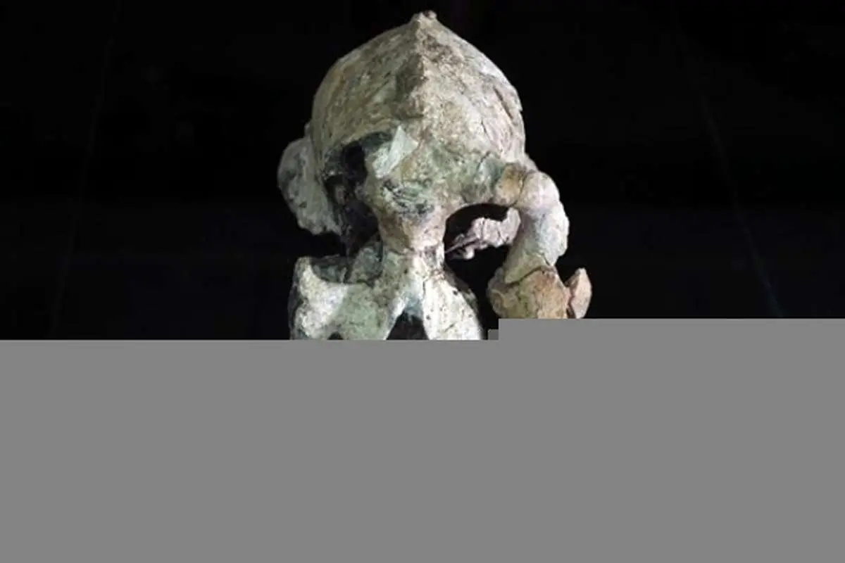 کشف جدیدی از اجداد اسرارآمیز انسان