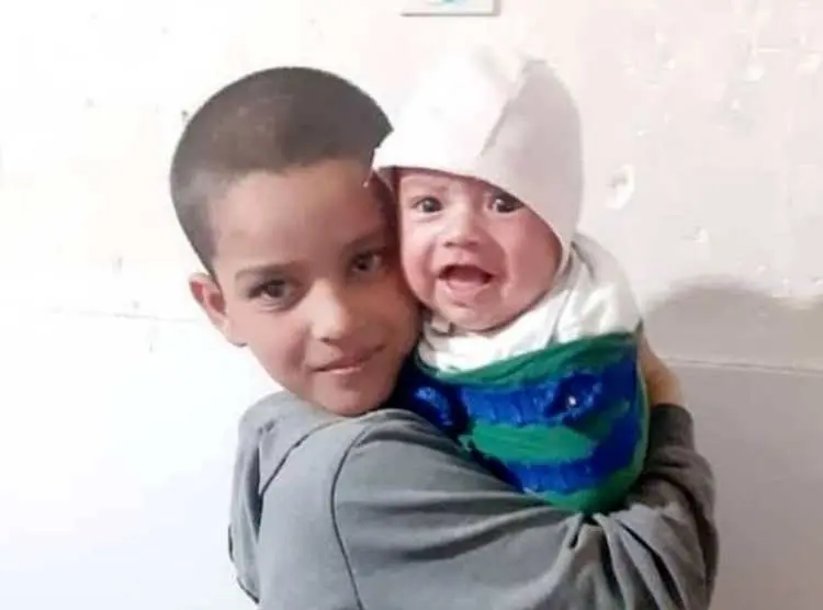 واکنش شهردار میبد به مرگ کودک ۸ ساله در حمله سگ‌ها