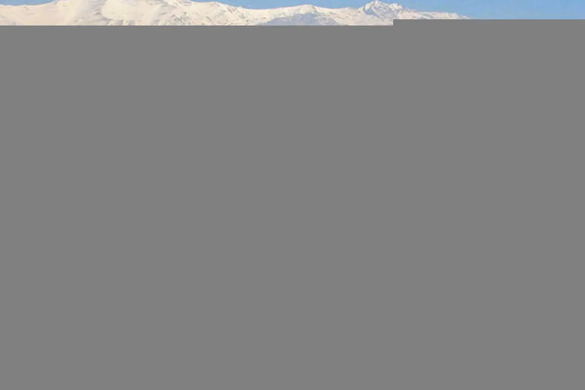 فرمول اجاره در ۲۲ منطقه