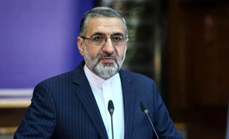 نازنین زاغری در سلامت کامل است/ مرخصی بیش از ۵۴ هزار زندانی/ نظارت بر توزیع کالا‌ها با دولت است
