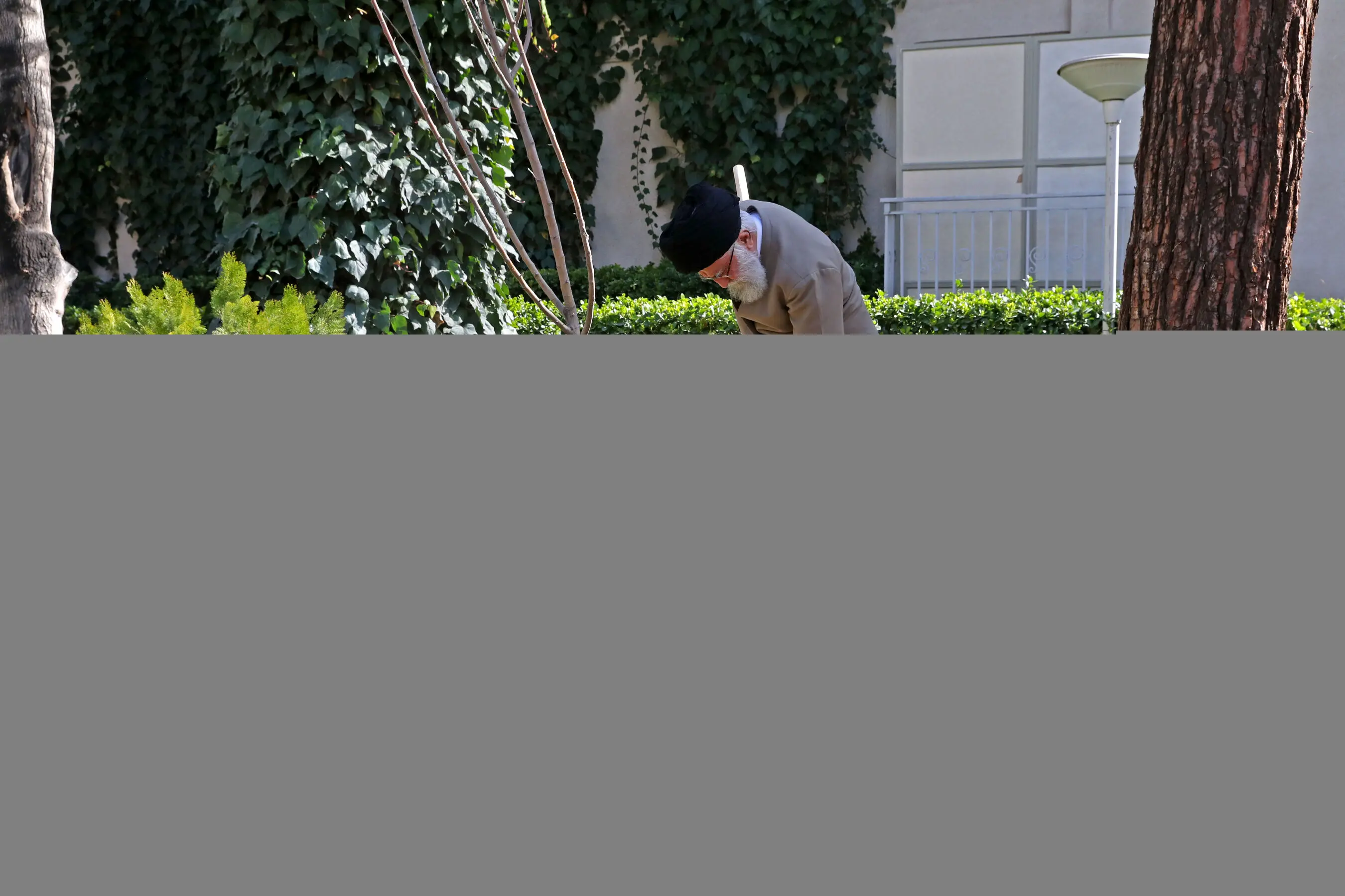 (تصاویر) غرس دو اصله نهال میوه توسط رهبر انقلاب