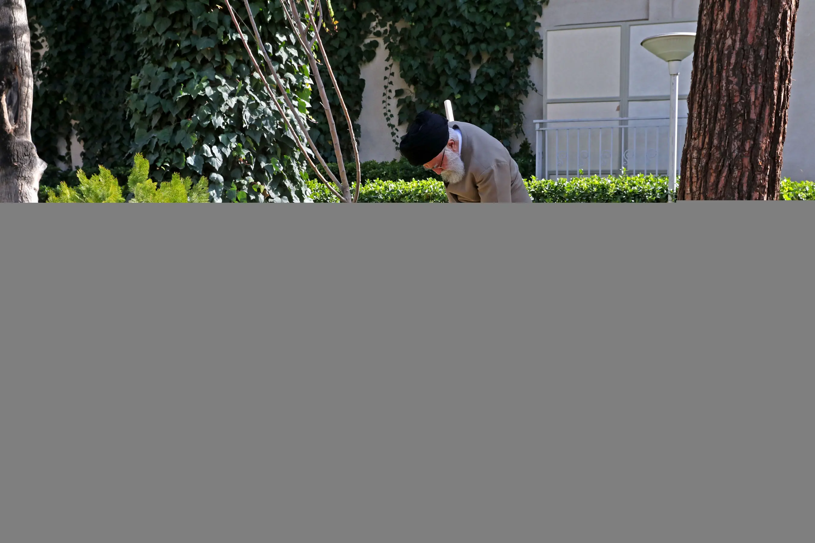 (تصاویر) غرس دو اصله نهال میوه توسط رهبر انقلاب