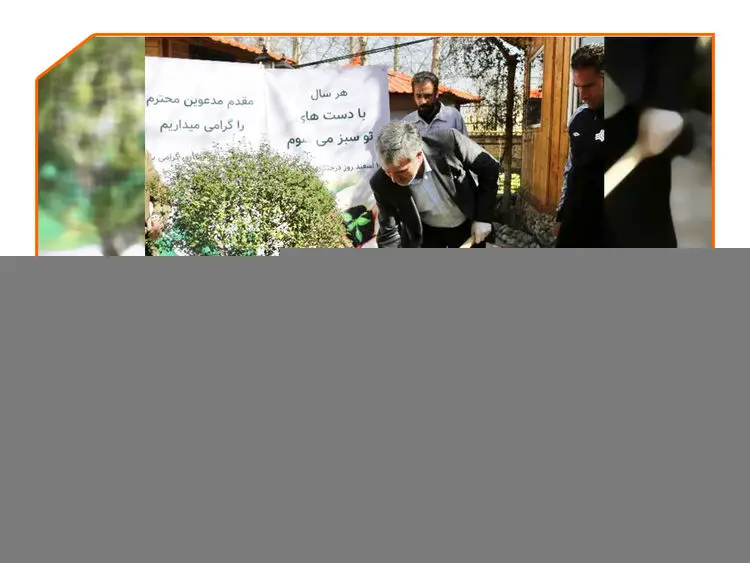 ترویج درختکاری در گروه خودروسازی سایپا