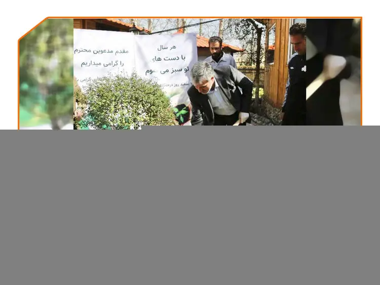 ترویج درختکاری در گروه خودروسازی سایپا