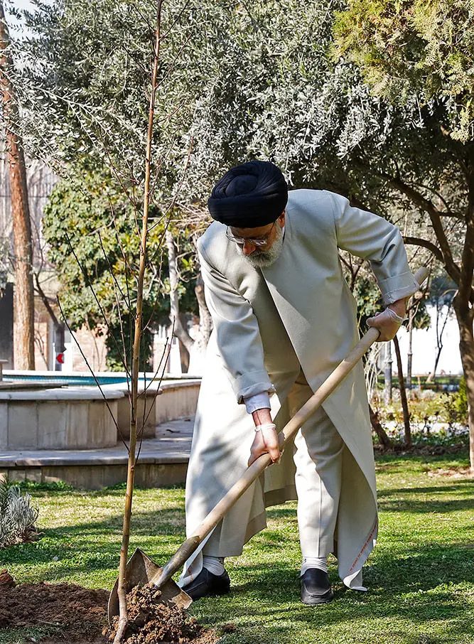 (تصاویر) کاشت یک اصله نهال توسط رئیسی