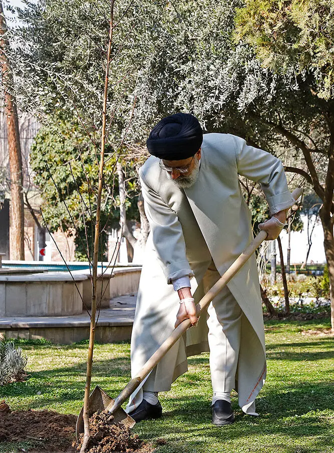 (تصاویر) کاشت یک اصله نهال توسط رئیسی