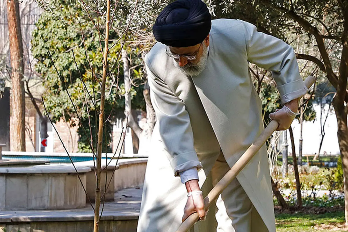 (تصاویر) کاشت یک اصله نهال توسط رئیسی