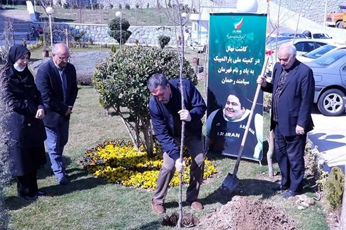 (عکس) کاشت نهال به یاد سیامند رحمان