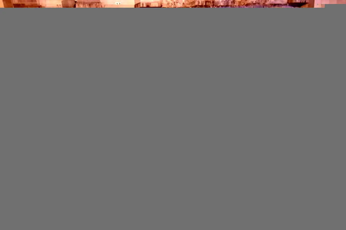 چرا دوستداران شجریان مقابل بیمارستان تجمع کردند؟