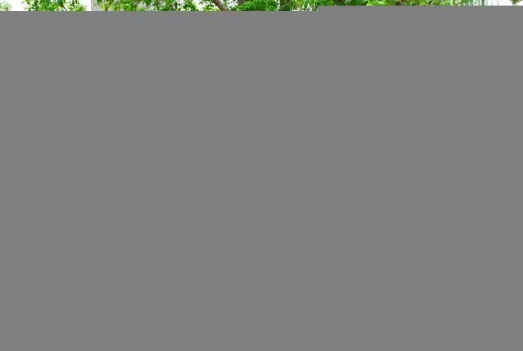 طرح مجلس برای جایگزینی تعطیلات نوروزی پس از شکست کرونا