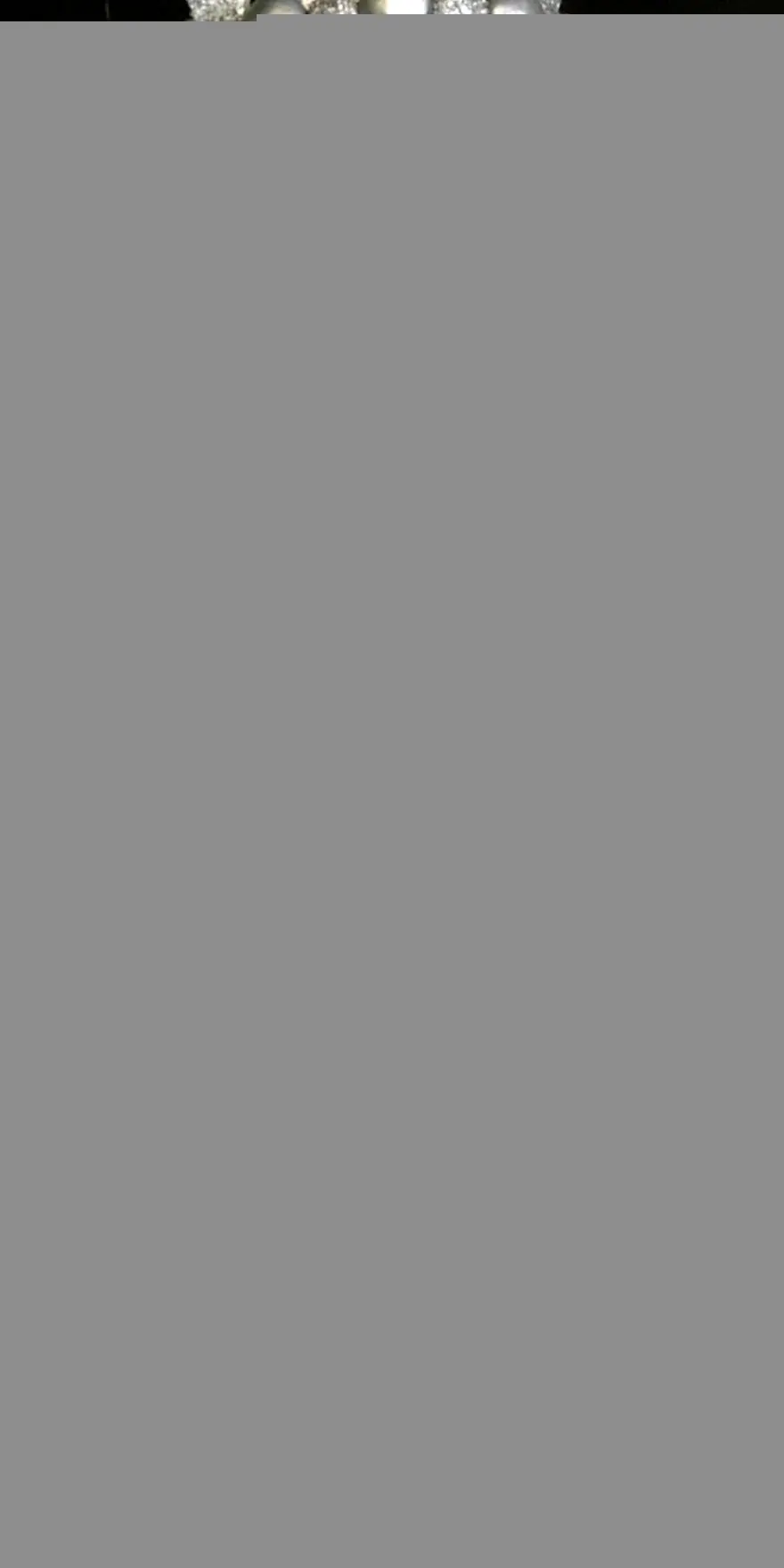 (تصاویر) کیک‌های عجیب و غریب یک تتوکار