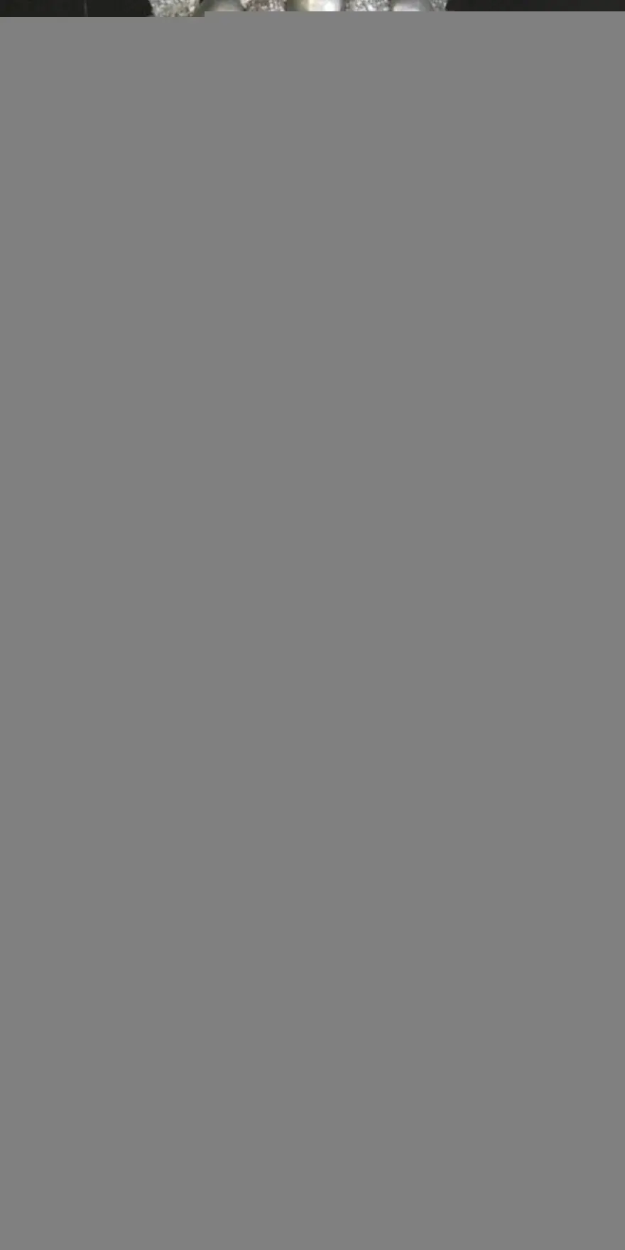 (تصاویر) کیک‌های عجیب و غریب یک تتوکار