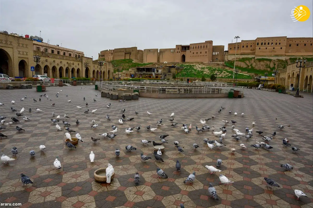 (تصاویر) منع رفت و آمد در اربیل