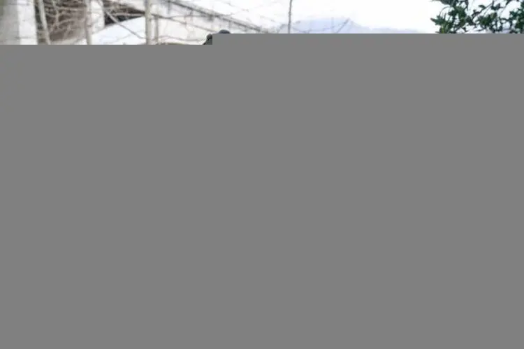 سخنان کارگردان «پایتخت» درباره تبلیغات آزاردهنده