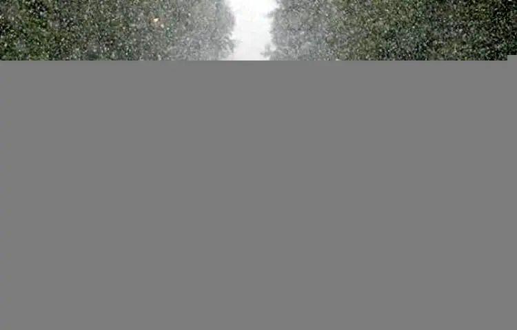 بارش برف و باران در اغلب مناطق کشور