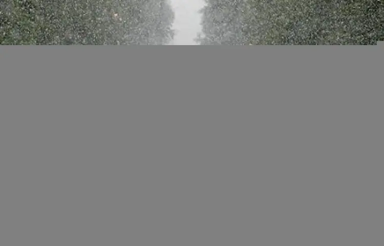 بارش برف و باران در اغلب مناطق کشور