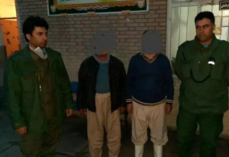 عوامل کشتار خرس قهوه‌ای در ارومیه دستگیر شدند