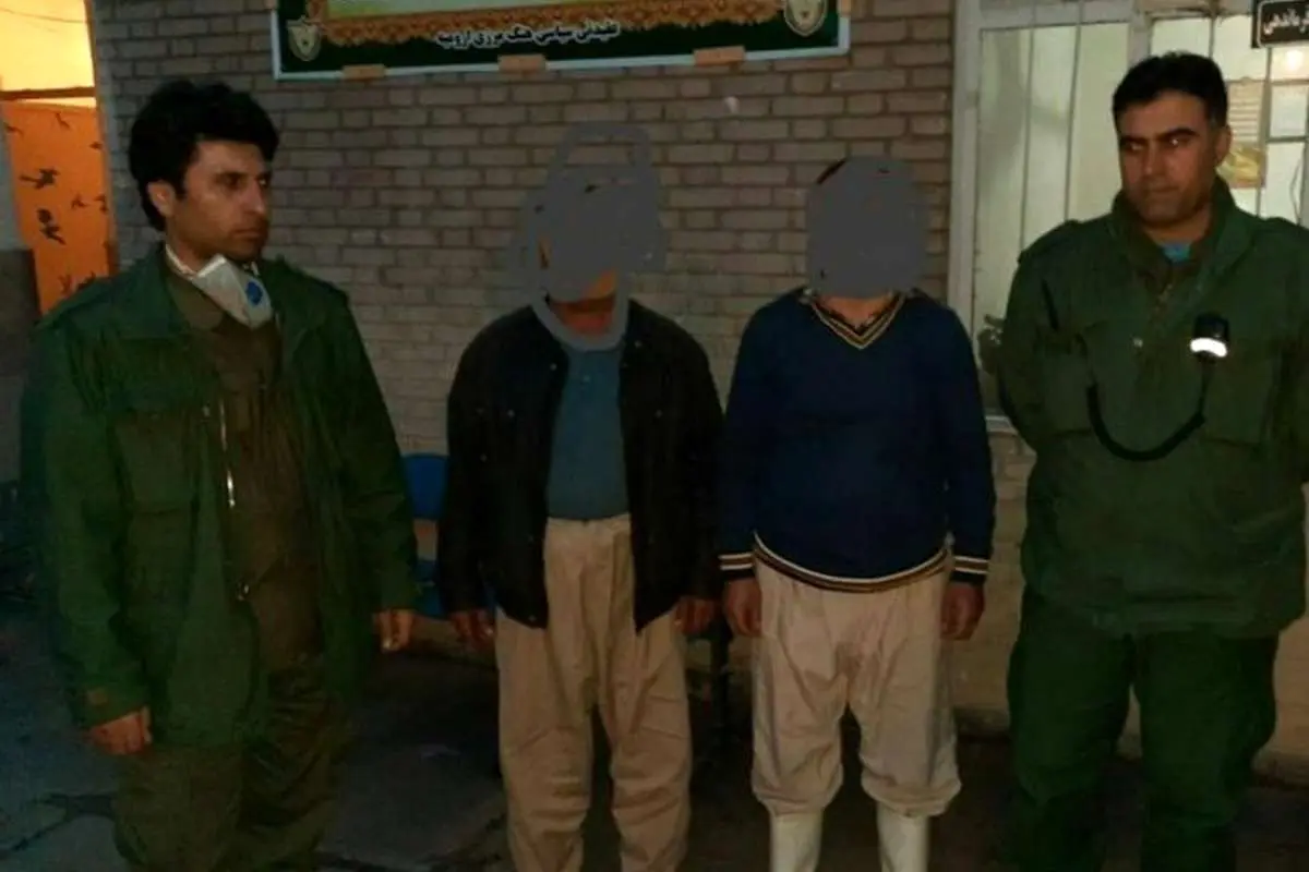 عوامل کشتار خرس قهوهای در ارومیه دستگیر شدند