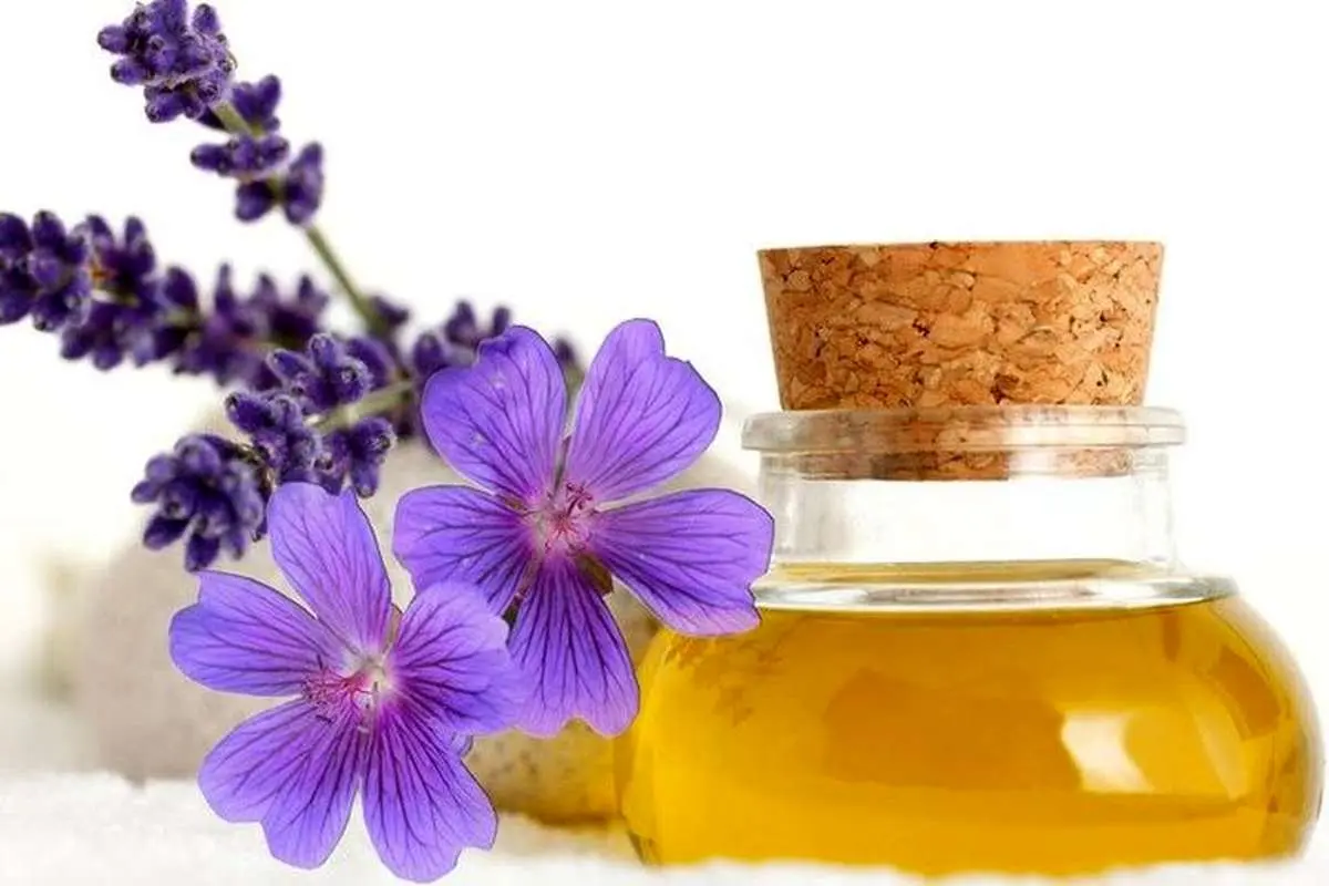 تکذیب یک شایعه درباره کرونا و روغن بنفشه