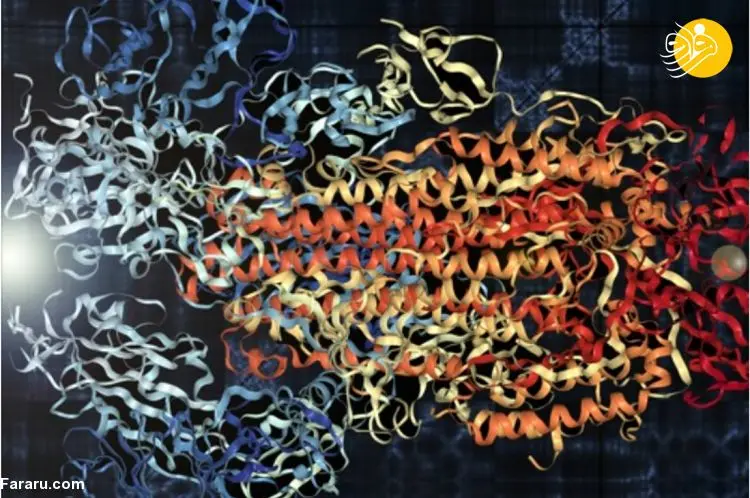 (بشنوید) دانشمندان "ساختار کرونا" را به موسیقی تبدیل کردند!