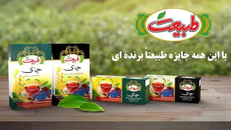 جشنواره ی بزرگ چای طبیعت آغاز شد