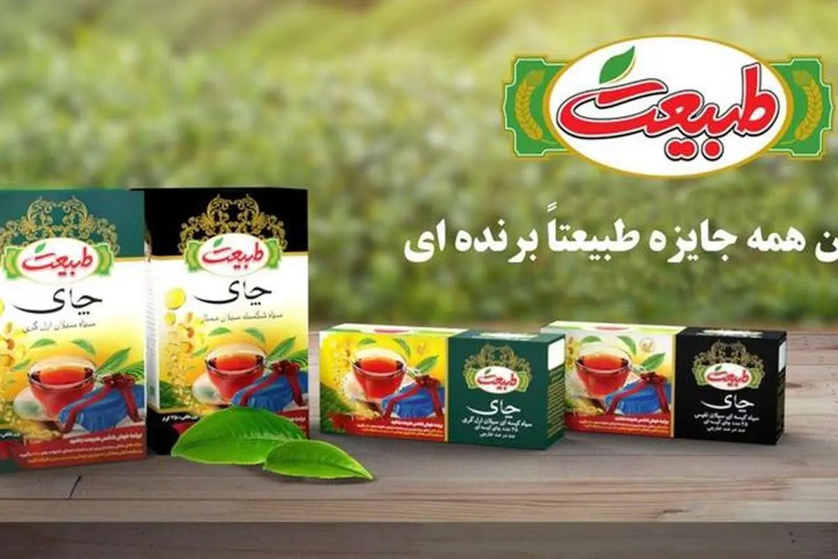 جشنواره ی بزرگ چای طبیعت آغاز شد