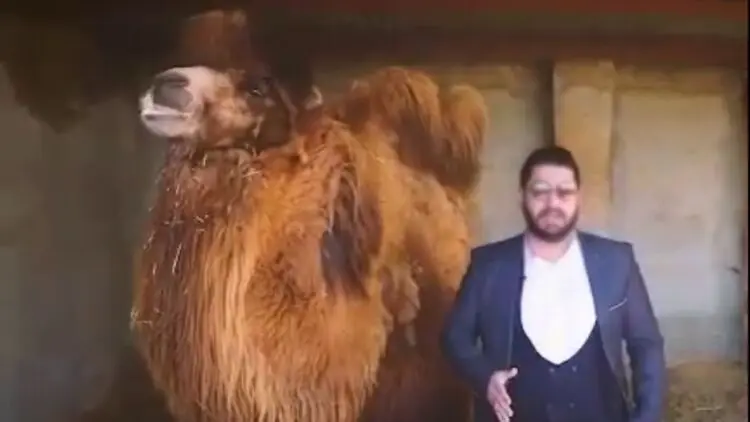 از "گُل بنفشه" تا "ادرار شتر" برای درمان کرونا!