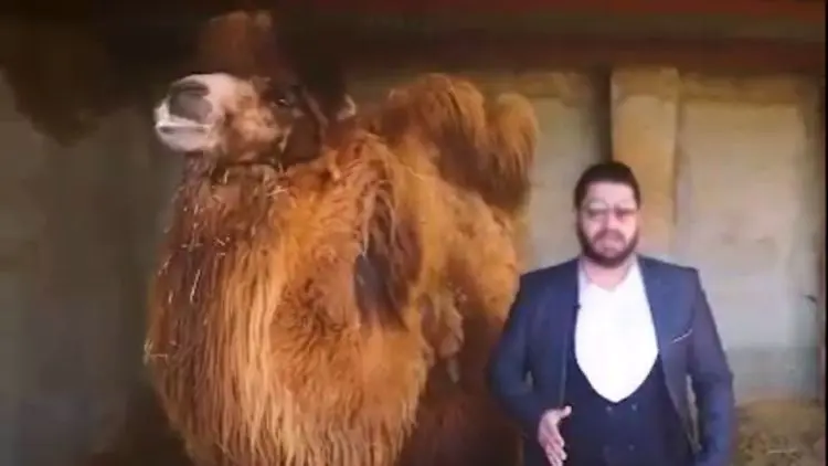 تبلیغ کننده مزایای نوشیدن ادرار شتر بازداشت شد