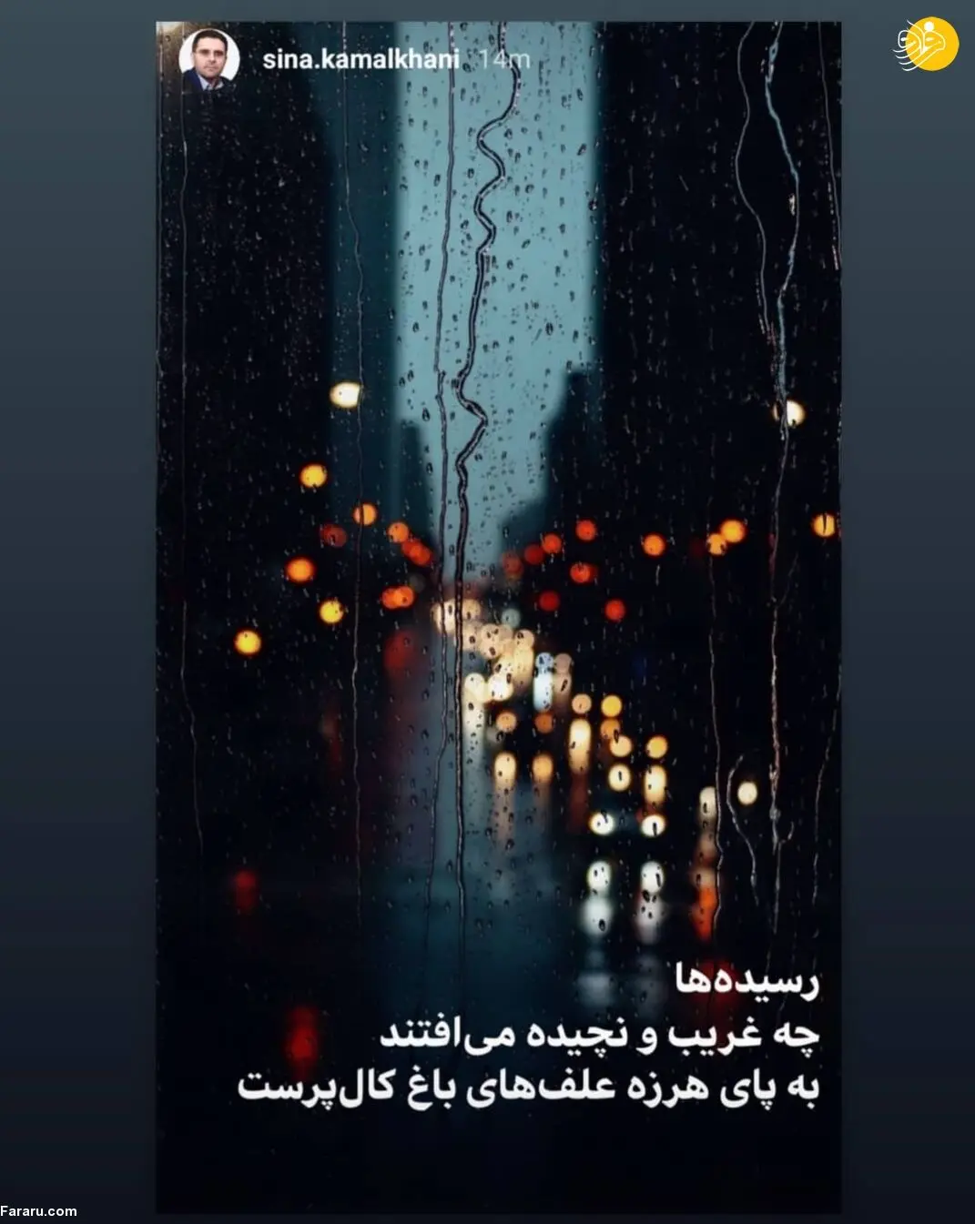 (تصویر) اولین واکنش سینا کمالخانی به رأی شورای نگهبان