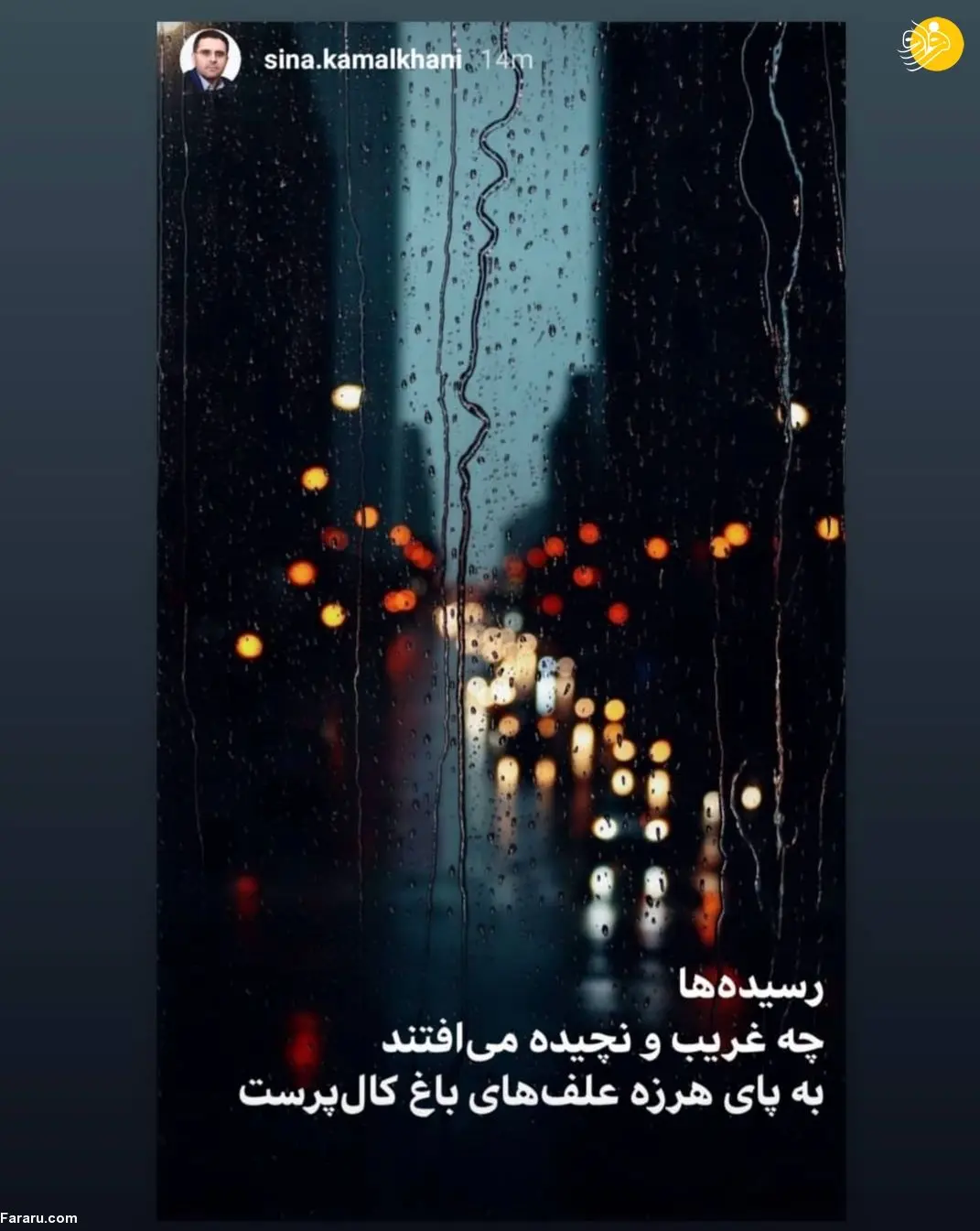 (تصویر) اولین واکنش سینا کمالخانی به رأی شورای نگهبان
