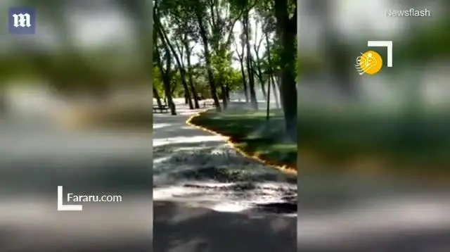 (ویدئو) آتش سوزی عجیب در یک پارک