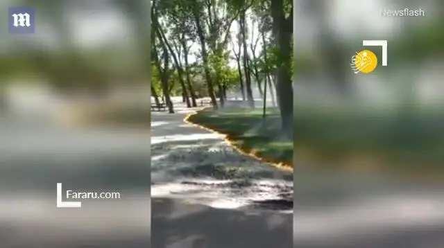 (ویدئو) آتش سوزی عجیب در یک پارک