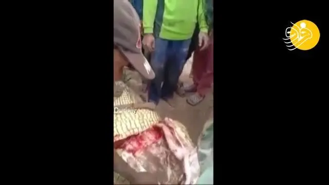 (ویدئو +18) تصاویری هولناک از بیرون کشیدن جسد ماهیگیر از شکم تمساح!