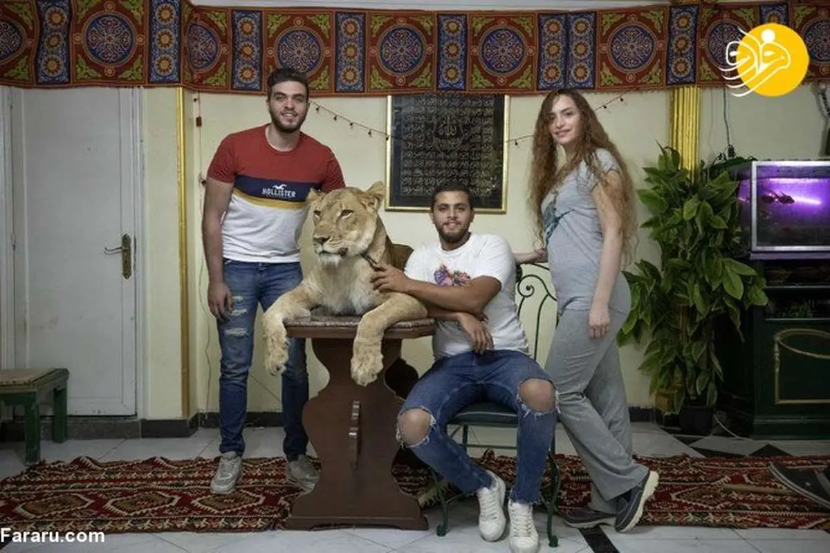 (تصاویر) مربی سیرک شیر را به خانه آورد!