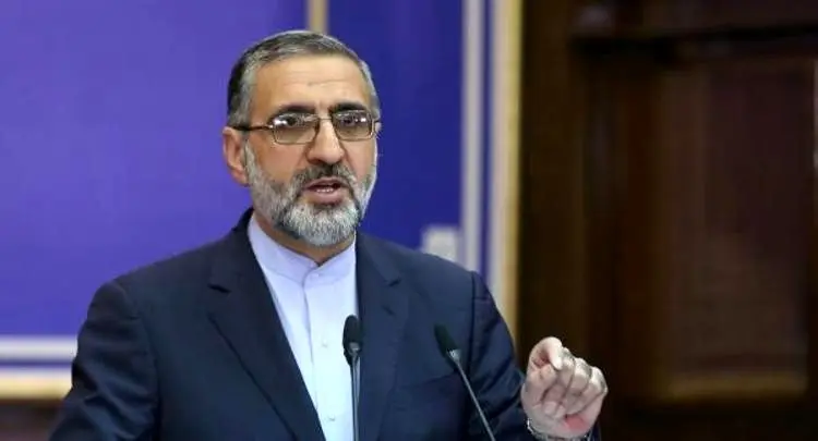 توضیحات اسماعیلی درباره علت بازداشت دو دانشجو