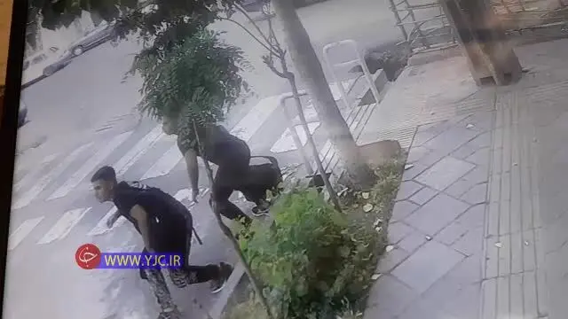 (ویدئو) سریعترین سرقت گوشی موبایل در تهران پارس!