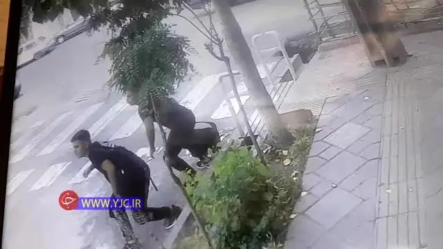 (ویدئو) سریعترین سرقت گوشی موبایل در تهران پارس!