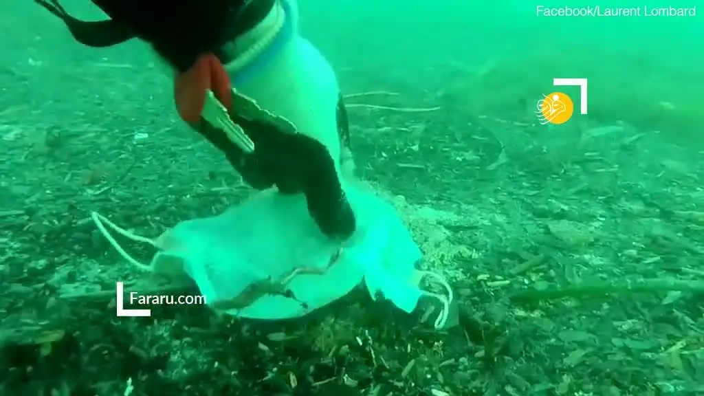 (ویدئو) رهاسازی ماسک و دستکش در دریا!